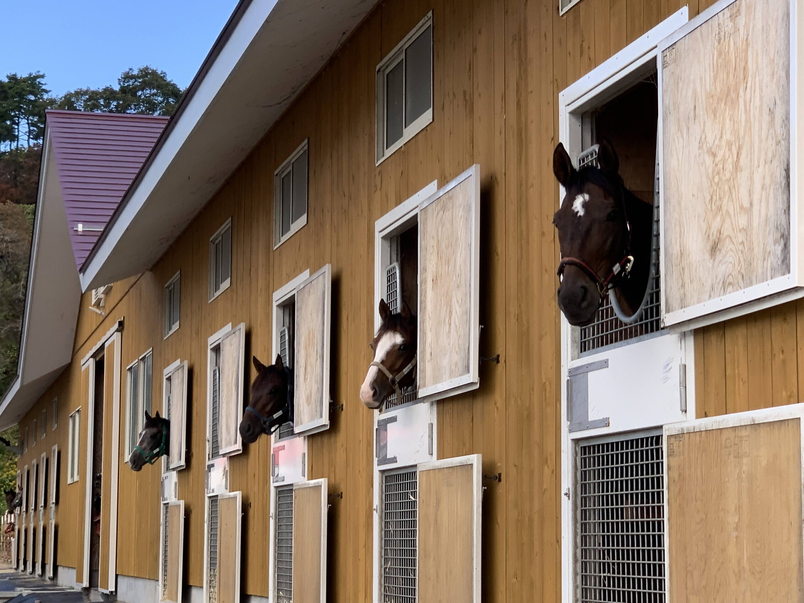 従業員募集 - テンコー・トレーニングセンター