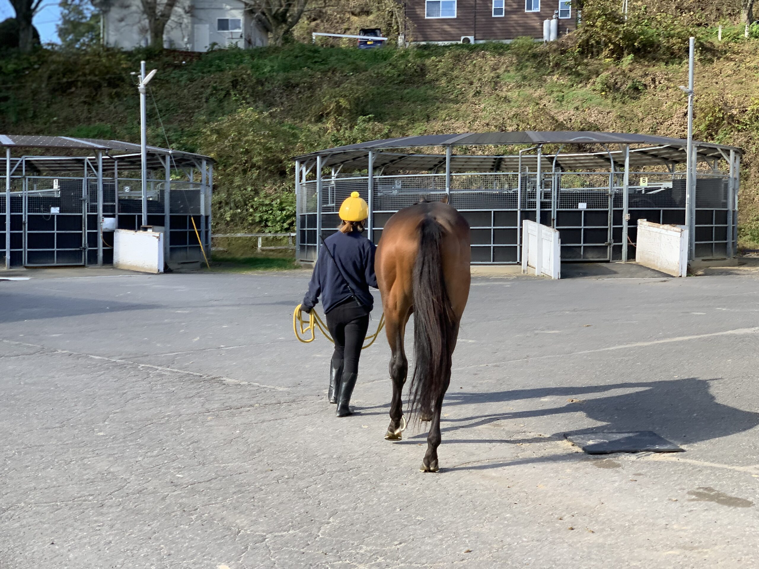 従業員募集 - テンコー・トレーニングセンター