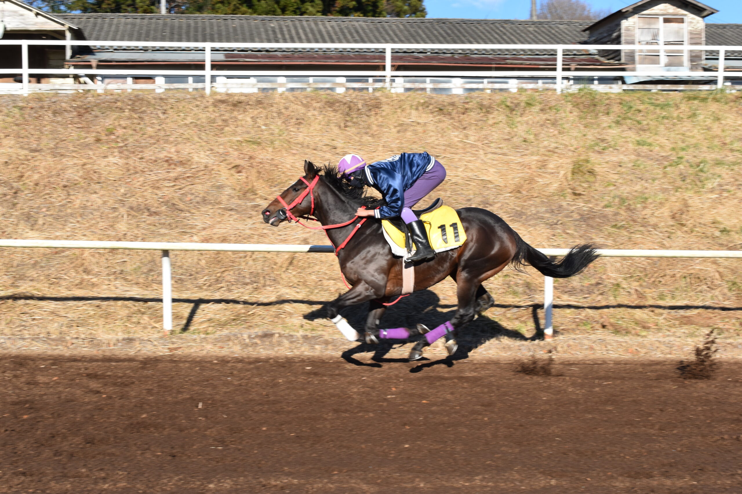 従業員募集 - テンコー・トレーニングセンター