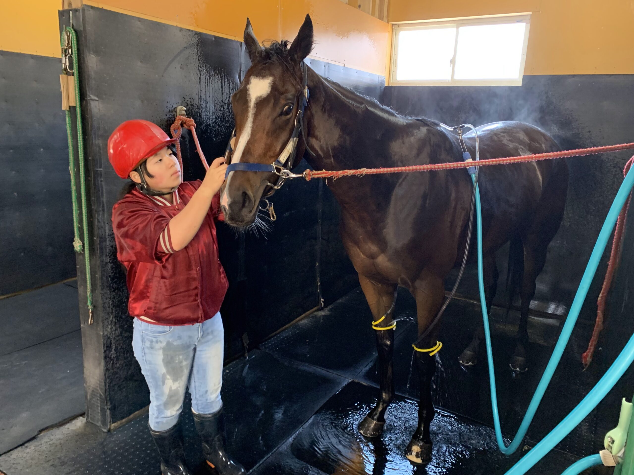 従業員募集 - テンコー・トレーニングセンター